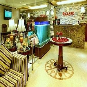 The Picasso Residency - Naraina