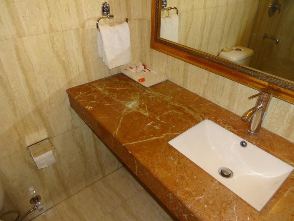 The Picasso Residency - Naraina 3*