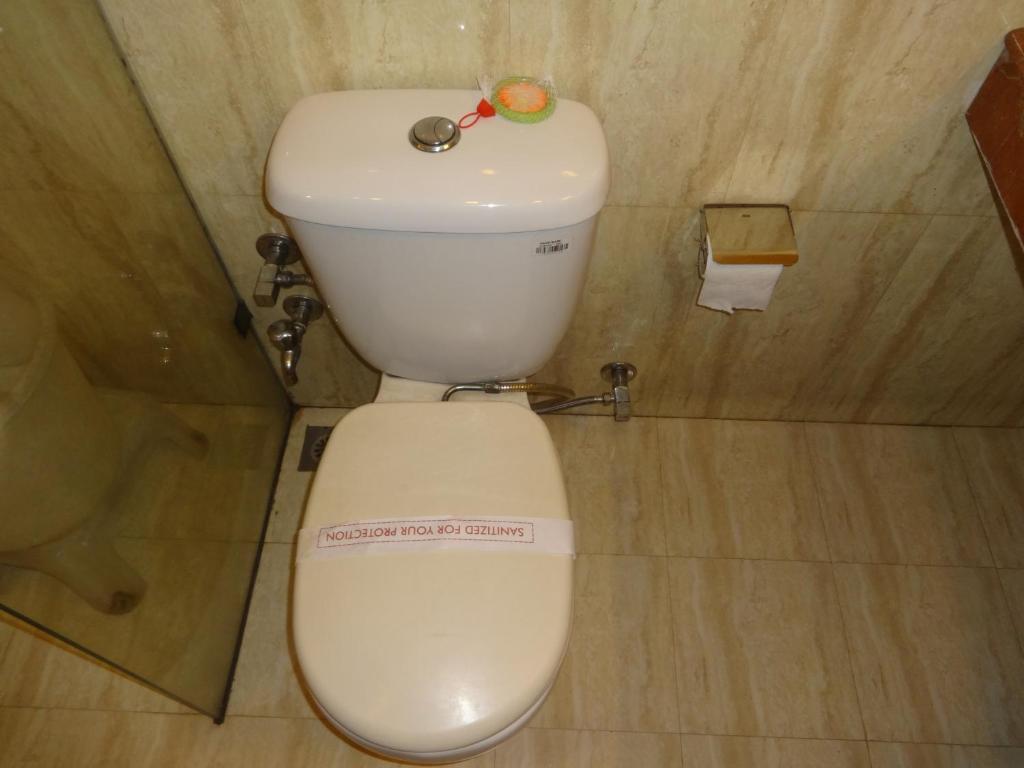 Hotel The Picasso Residency - Naraina New Delhi