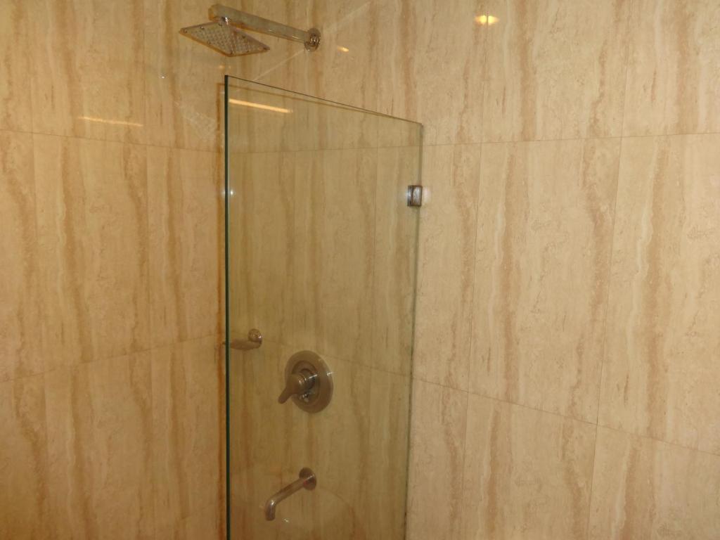 The Picasso Residency - Naraina Hotel New Delhi