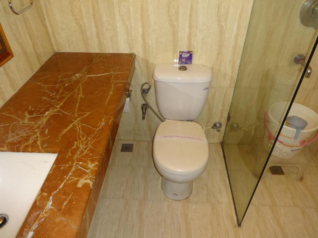 The Picasso Residency - Naraina Hotel New Delhi