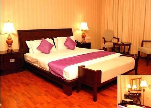 Hotel The Picasso Residency - Naraina New Delhi